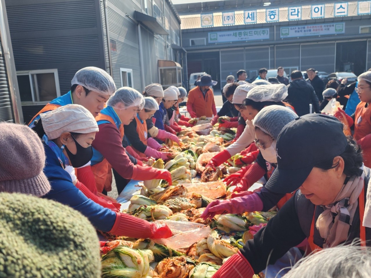 더불어민주당 세종시당 여성위원회(위원장 김현옥)는 연서면 일대에서 법무부 범죄예방 세종시지구위원회와 함께 지역의 결연 청소년 가정을 돕기 위한 ‘사랑의 김장김치 나눔 봉사활동’을 실시했다./김현옥 의원 제공