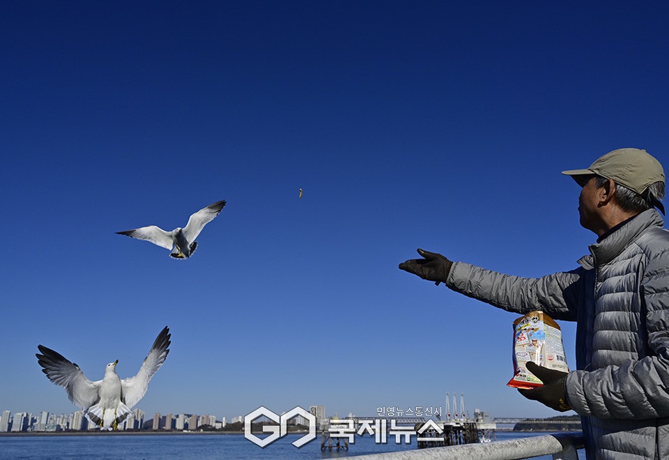 늦가을의 풍광 영종도와 월미도 곳곳에 풍성해 (사진=안희영 기자)