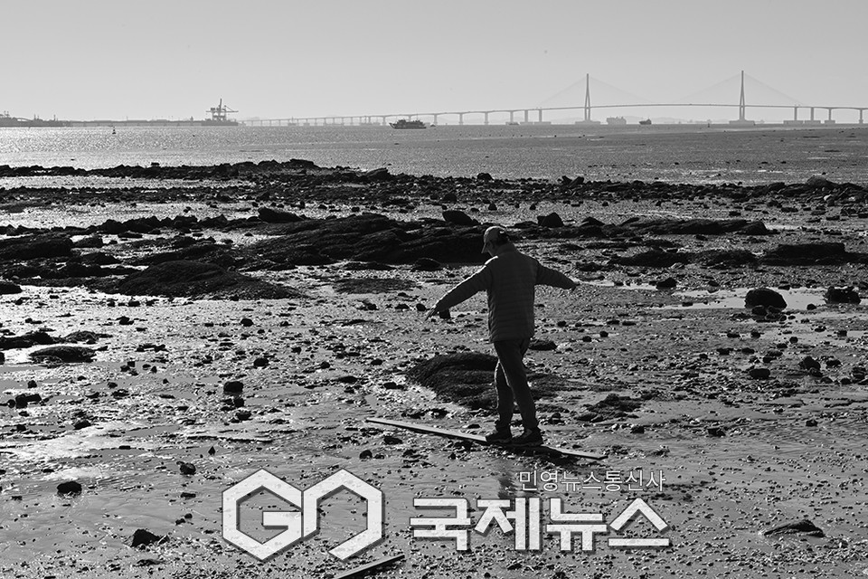 늦가을의 풍광 영종도와 월미도 곳곳에 풍성해 (사진=안희영 기자)