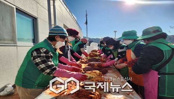 평은면 새마을남녀단체 회원들이 김장 김치를 담구고 있다