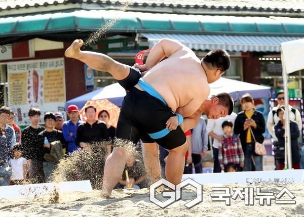 이 사진은 예전 온달장군 씨름대회 모습 임(사진=단양군)