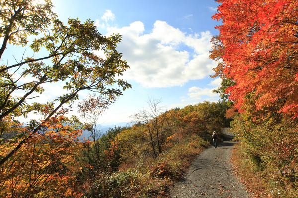 강원랜드, 하이원 하늘길 트레킹 전경(사진=강원랜드)