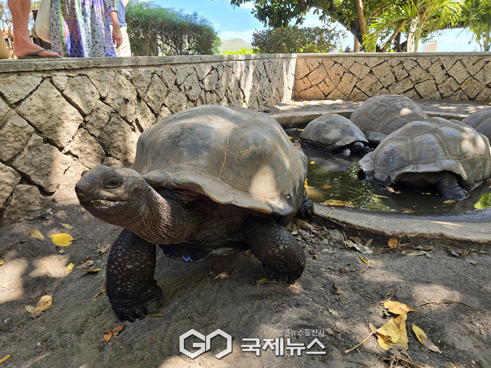 사진/유지현 기자