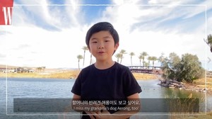 The first Korean exclusive interview video of’Alan Kim’, the child actor of the movie Minari, is released!