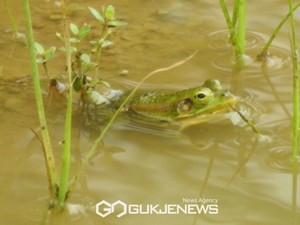 [오늘의 날씨] '<b>경칩 뜻</b>' 전국 대부분 비·강원산지 많은 눈...서울 낮 12도·...