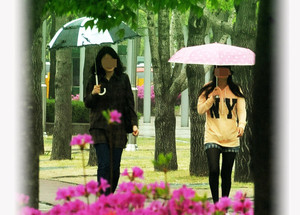 날씨 '<b>경칩 뜻</b>' 제주 '80mm 천둥번개 많은비' 남부·충청 '봄비온다'