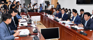발언하는 <b>이만희</b> 재난안전특<b>위원장</b>