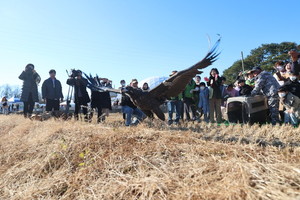 경남 고성군 "몽골 <b>독수리</b> 장관 구경하러 오세요"