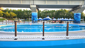 [국제포토] 안전한 물놀이 & 남동물놀이장 개장 - 뉴스 썸네일 이미지