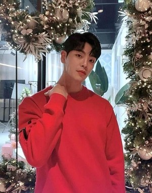 대표 이미지