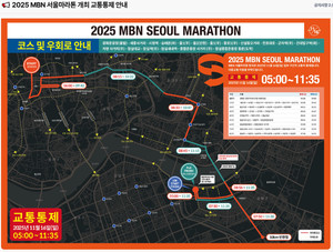 MBN 서울 마라톤 관련 뉴스 - '2025 서울마라톤' 교통통제로 주차 제한...상금과 코스 '확인'
