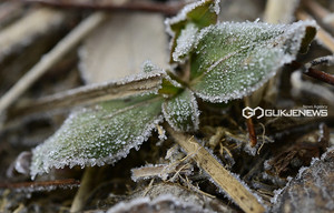 충남권 겨울 비와 도로 살얼음 주의