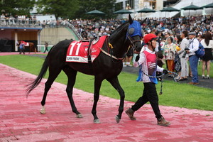 단 1분의 속도전... 렛츠런파크 서울, 1,200m 1등급 스프린트 결전 - 뉴스 썸네일 이미지