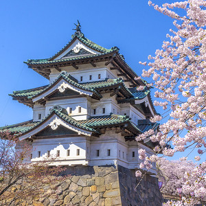 여기어때투어, 시즌 맞춤형 기획전 오픈 "벚꽃 날리는 일본부터 대자연... - 뉴스 썸네일 이미지