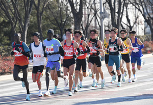 국제뉴스 대구마라톤 코스·교통통제 관련 이미지