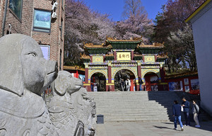 [국제포토] 뷰가 좋은 곳, 힐링은 덤 - 뉴스 썸네일 이미지