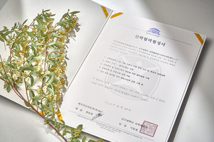 에이치브라운-신구대학교 시각디자인과, 'K-디자인의 글로벌 경쟁력 강... - 뉴스 썸네일 이미지