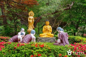 "앙코르와트 닮은 돌탑부터 황금 법당까지"... 5월에 가볼 만한 전국 이... - 뉴스 썸네일 이미지