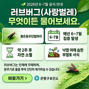 은평구, <b>러브버그</b> 비상방역 '6월 13일~7월 19일' 운영