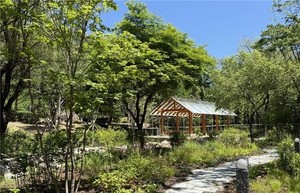 남산 야외식물원, <b>한국숲정원</b>으로 전면개방...주차장 요금 얼마?