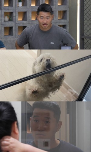 '<b>개늑시</b>2' 가족도 공격하는 말티즈, 잘못된 반려 습관 '충격'