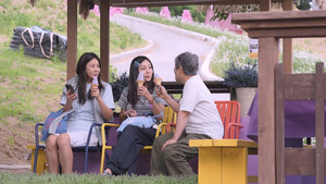 '황신혜의 <b>같이 삽시다</b>' 정성껏 가꾼 텃밭 테러 범인은 누구?
