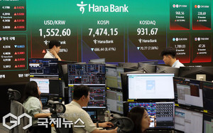 "단일종목 레버리지 개인한도 20% 제한… 31일 시행"