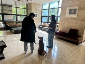 [www.gukjenews.com] 광진구, 반려동물 행동교정 교육 추가 모집...선착순 10가구