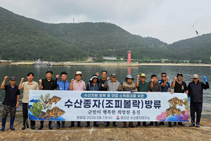 옹진군, <b>대청도</b> 해역에 우량 조피볼락 35만 마리 방류