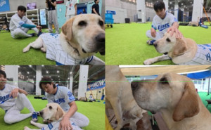 '253회 구조 투혼' 119 인명<b>구조견 토백이</b>, 삼성 라이온즈 시구 나선다
