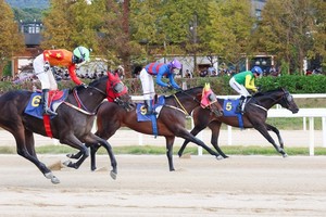 '클러치매직' 일간스포츠배 우승! 1800m 1분55초7, 3전 3승 무패 질주 - 뉴스 썸네일 이미지